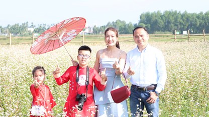 Ngỡ ngàng cánh đồng tam giác mạch giữa lòng đô thị Quảng Ngãi