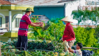 Đồng bằng sông Cửu Long: Hành trình khám phá đa sắc màu