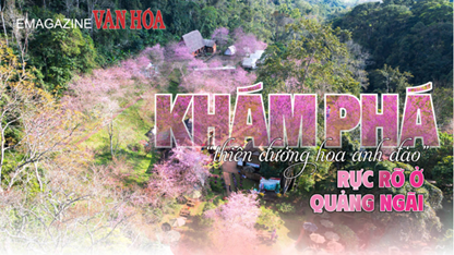 (Emagazine) Khám phá “thiên đường hoa anh đào” rực rỡ ở Quảng Ngãi