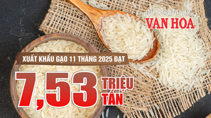 (Infographic) 11 tháng 2025: Xuất khẩu gạo giảm sâu, kim ngạch lao dốc 27,4%