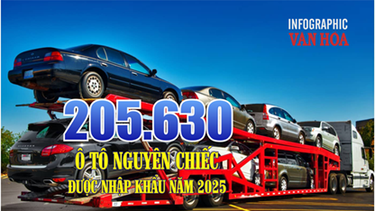 (Infographic) Việt Nam nhập hơn 205.000 ô tô năm 2025, cao nhất từ trước đến nay