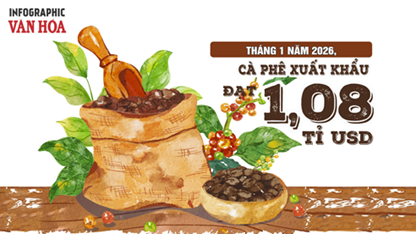 (Infographic) Xuất khẩu cà phê tháng 1.2026 đạt 1,08 tỉ USD, tăng mạnh so với cùng kỳ