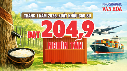 (Infographic) Kim ngạch cao su vượt 362 triệu USD, tăng trưởng ấn tượng đầu năm