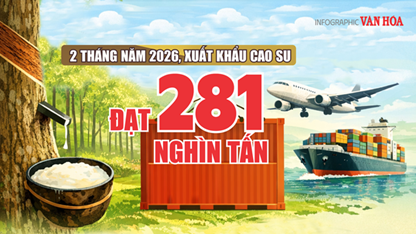(Infographic) Xuất khẩu cao su Việt Nam đạt hơn 503 triệu USD sau 2 tháng