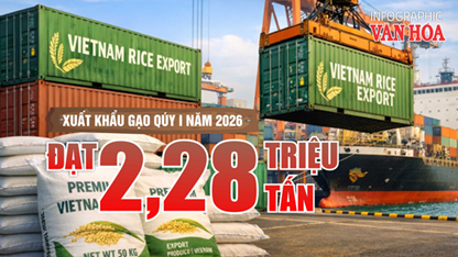Xuất khẩu gạo quý I.2026 đạt 2,28 triệu tấn nhưng giá giảm mạnh, kim ngạch sụt giảm