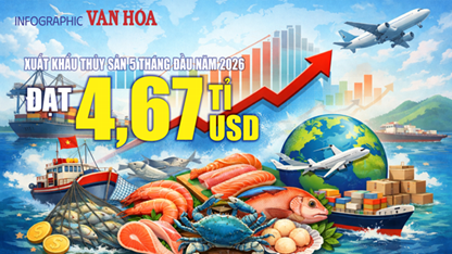 Xuất khẩu thủy sản 5 tháng đầu năm 2026 đạt 4,67 tỉ USD, tăng 11%