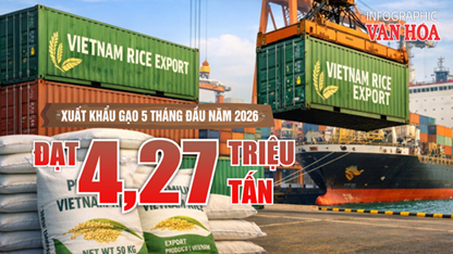Xuất khẩu gạo 5 tháng đầu năm 2026 đạt 4,27 triệu tấn, thu về 2 tỉ USD