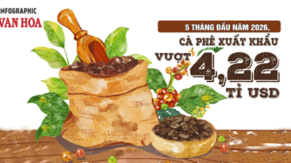 Xuất khẩu cà phê 5 tháng đầu năm 2026 vượt 4,22 tỉ USD, Đức dẫn đầu thị trường