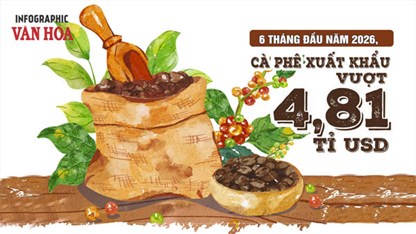 Xuất khẩu cà phê 6 tháng đầu năm 2026 vượt 4,81 tỉ USD