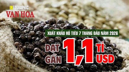 Hồ tiêu Việt Nam thu gần 1,1 tỉ USD sau 7 tháng, tăng 11,1% so với cùng kỳ