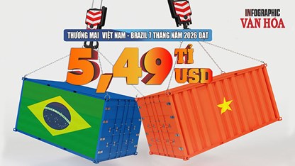 Việt Nam - Brazil: Xuất khẩu tăng 42%, thương mại đạt 5,49 tỉ USD