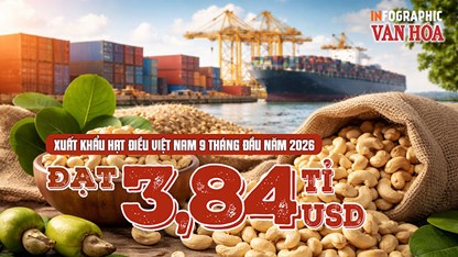 Trung Quốc mua gần 1 tỉ USD hạt điều Việt Nam, tăng 20,9%