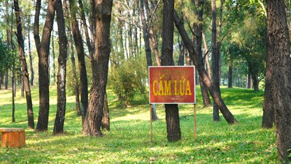 Phòng ngừa di tích Huế trong mùa nắng nóng