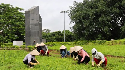 “Chiến dịch Xanh” góp sức gìn giữ di tích Đồi A1