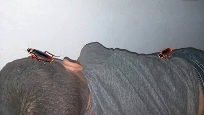 1 bức ảnh chỉnh sửa của mẹ khiến cậu bé sợ đến mức tắm 20 lần/ngày, nhiều phụ huynh xem cũng rùng mình