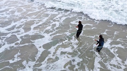 Nghề “đi giật lùi” mưu sinh mùa giáp Tết trên biển Đà Nẵng