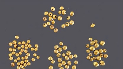 Kỳ 1 – Nhận diện những lớp trầm tích nghìn năm