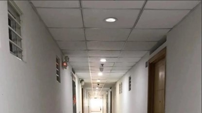 Cô gái “trốn” hàng xóm: Thói quen kỳ lạ nhưng lý do được nhiều người cảm thông