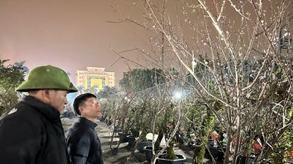 Mưa rét về đêm không làm giảm “sức nóng” chợ hoa Xuân Hoa Lư