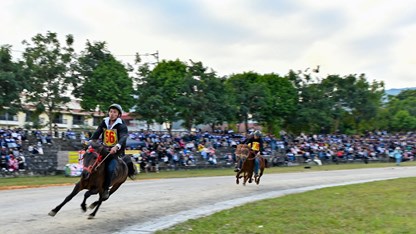 Mãn nhãn với Giải đua ngựa hàng tuần Bắc Hà