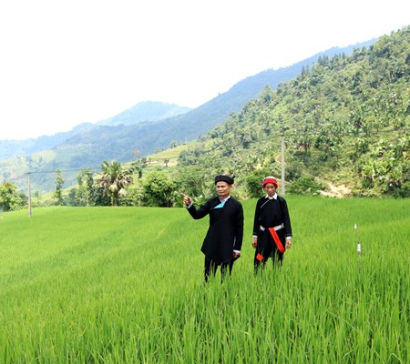 “Văn hóa còn thì dân tộc còn” (Bài 3): Thắp sáng những vùng đất - Anh 3