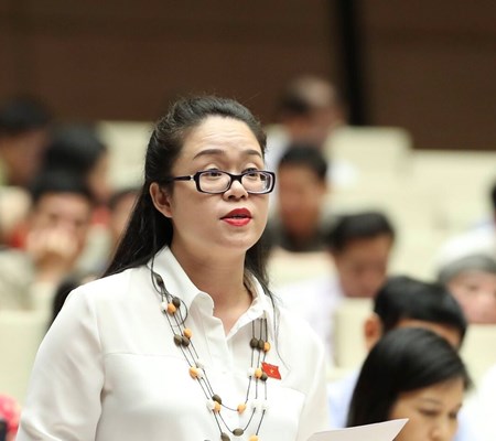 Đại biểu Quốc hội: Văn hóa cần được quan tâm, đầu tư hơn nữa - Anh 4