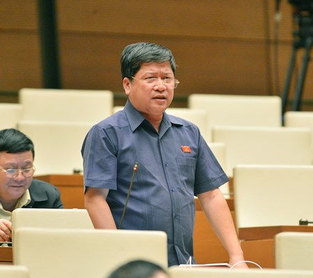 Đại biểu Quốc hội: Văn hóa cần được quan tâm, đầu tư hơn nữa - Anh 5