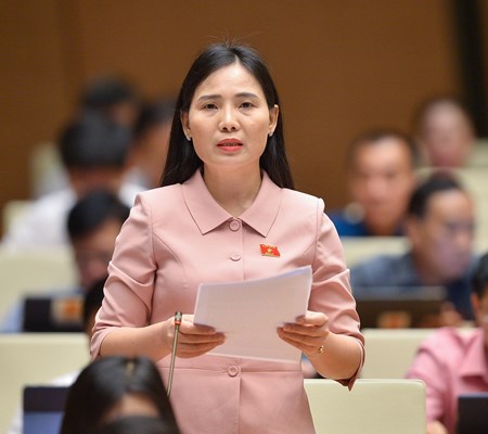 Đề nghị tăng mức chi ngân sách nhà nước cho phát triển văn hóa và du lịch - Anh 2