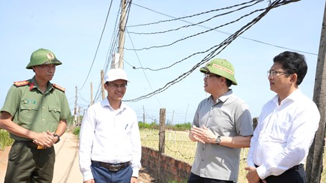 Mở hướng phát triển du lịch từ vùng hành tím Bình Hải