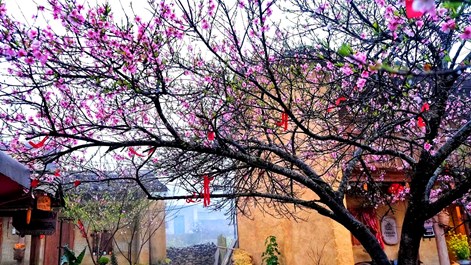 Không gian du lịch mở rộng và những mạch phát triển mới