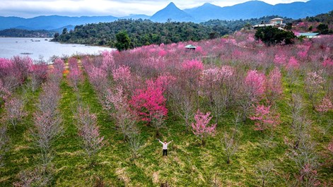 Điểm hẹn văn hóa - du lịch đầu xuân của Điện Biên