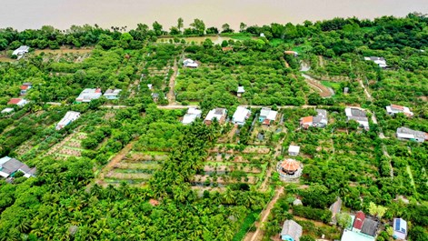 Về cồn Mỹ Phước dự Ngày hội Sông nước miệt vườn