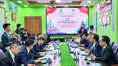 Kỳ vọng sớm có đường bay thường lệ, thúc đẩy trao đổi khách 2 chiều