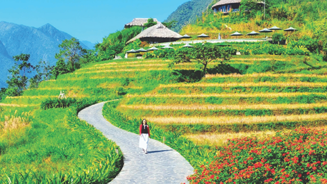 “Ta dại ta tìm nơi vắng vẻ…”