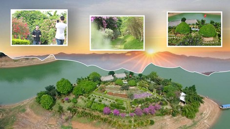 Từ đất hoang sơ thành đảo hoa hút khách giữa lòng hồ Núi Cốc