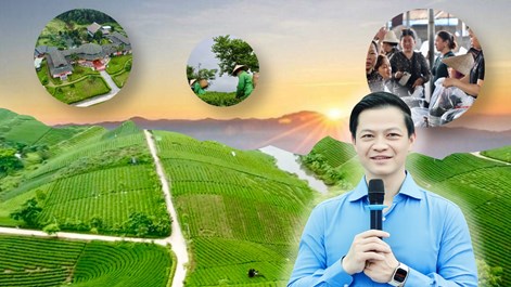 Tái cấu trúc du lịch từ lợi thế vùng chè Thái Nguyên
