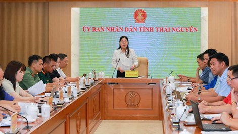 Festival Trà Quốc tế Thái Nguyên 2026 vào chặng nước rút