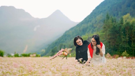 Phố Bảng - điểm hẹn mùa hoa Tam giác mạch
