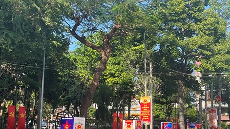 Khánh Hòa: Cần quan tâm, tạo điều kiện để du khách thực hiện quyền bầu cử  