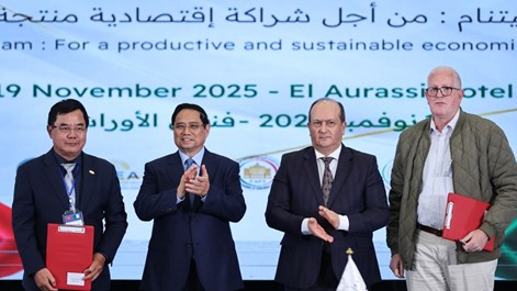 Thủ tướng Phạm Minh Chính và Thủ tướng Algeria cùng dự Diễn đàn kinh tế Việt Nam - Algeria