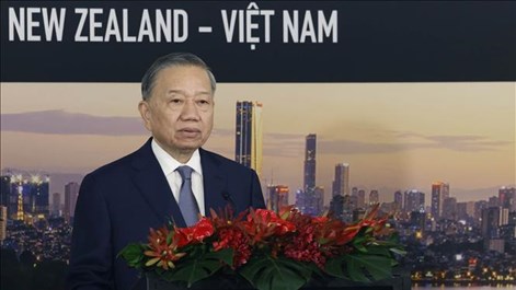 Tổng Bí thư, Chủ tịch nước Tô Lâm dự Hội nghị bàn tròn doanh nghiệp New Zealand - Việt Nam
