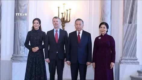 Tổng Bí thư, Chủ tịch nước Tô Lâm hội kiến Nhà vua Frederik X