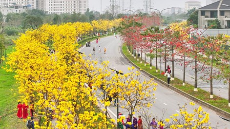 Khi phong linh biến những góc phố thành “tọa độ săn ảnh”