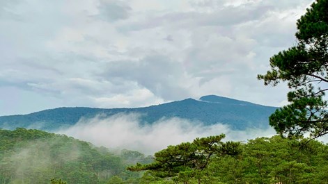 Vườn Quốc gia Bidoup – Núi Bà, điểm du lịch sinh thái rừng không thể bỏ qua trên Cao nguyên Lang Biang