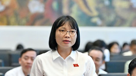 ĐBQH: Mọi thay đổi trong cơ chế giá điện cần được xem xét hết sức thận trọng