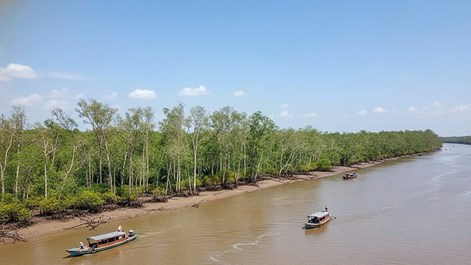 Quy hoạch phát triển Cù Lao Dung thành trung tâm du lịch sinh thái - nghỉ dưỡng cao cấp 