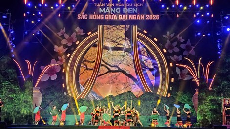 Tuần Văn hóa Du lịch Măng Đen - “Sắc hồng giữa đại ngàn”