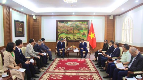 Việt Nam – Hàn Quốc thúc đẩy hợp tác trong lĩnh vực di sản văn hóa