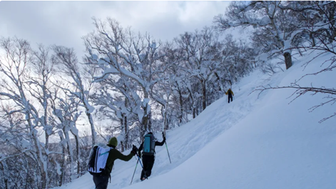 Thiên đường tuyết Nhật Bản thu hút khách du lịch