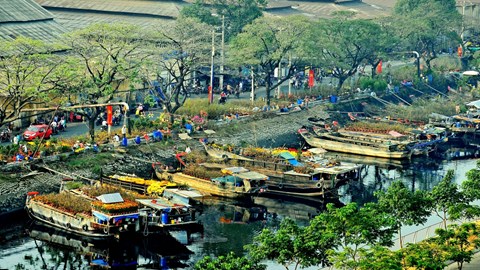 Đặc sắc Chợ hoa Xuân “Trên bến dưới thuyền” duy nhất tại TP.HCM